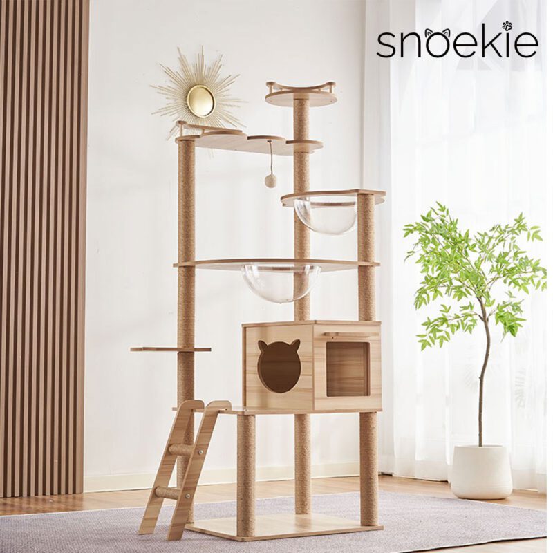 Snoekie Stabiler Kratzbaum mit Katzenhaus, Acryl-Körben und Kletterleiter