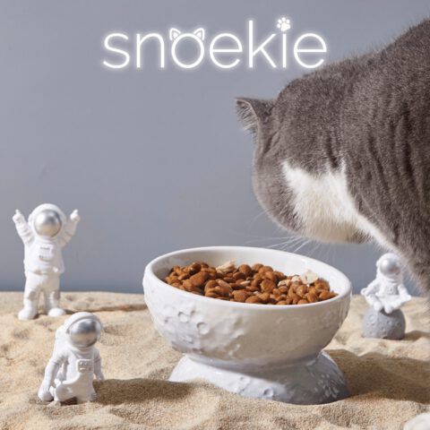 snoekie Keramik Katzennapf mit Standfuß – Erhöhter Futternapf & Wassernapf für Katzen, Rutschfest, Spülmaschinengeeignet, Modernes Design Hellblau