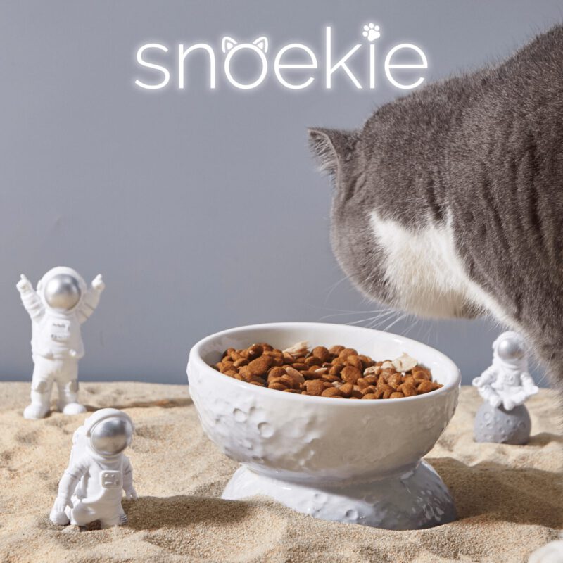 snoekie Keramik Katzennapf mit Standfuß – Erhöhter Futternapf & Wassernapf für Katzen, Rutschfest, Spülmaschinengeeignet, Modernes Design Hellblau