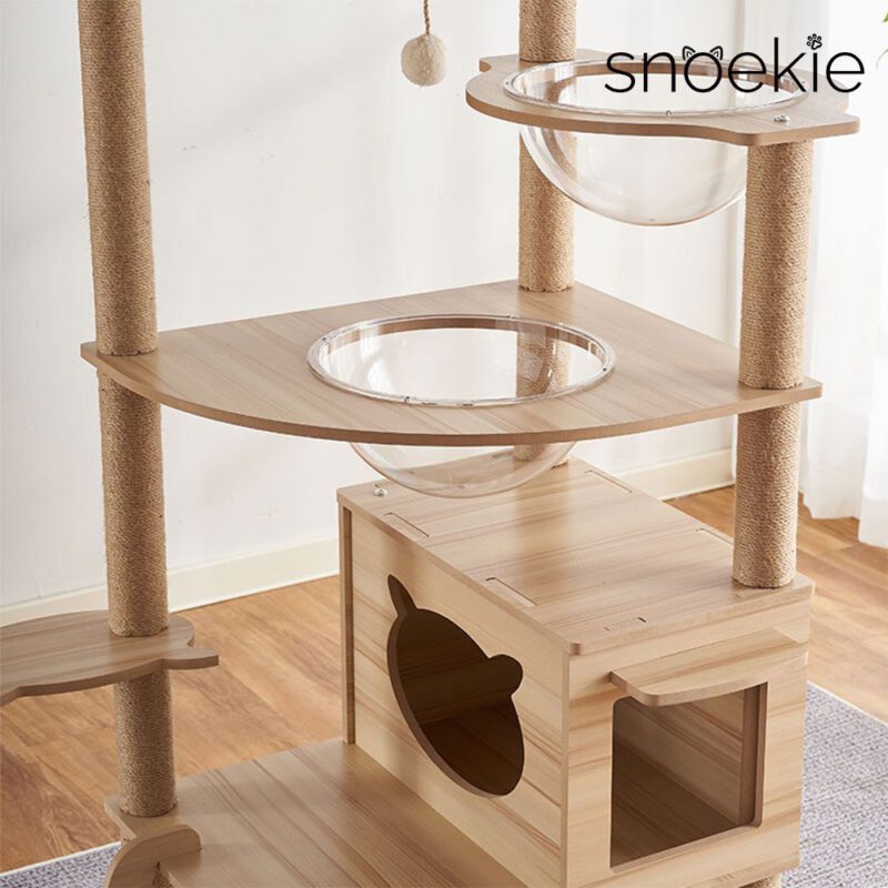 Snoekie Stabiler Kratzbaum mit Katzenhaus, Acryl-Körben und Kletterleiter