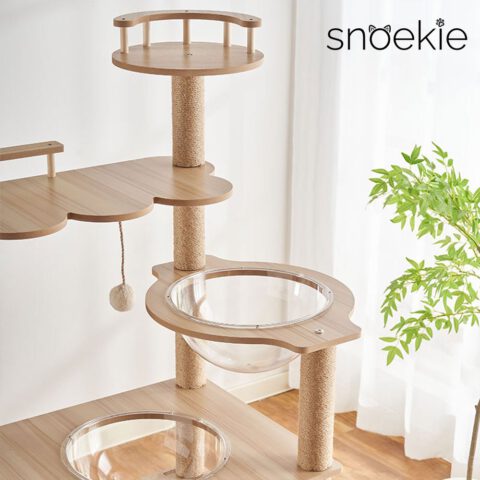 Snoekie Stabiler Kratzbaum mit Katzenhaus, Acryl-Körben und Kletterleiter
