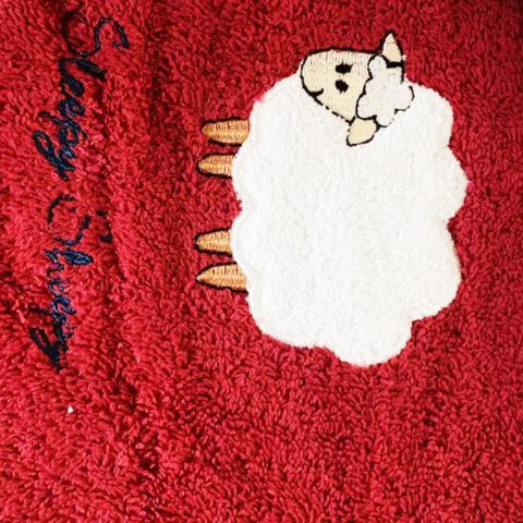 Morgenstern Kinder Badeponcho aus 100 % Baumwolle Scharf