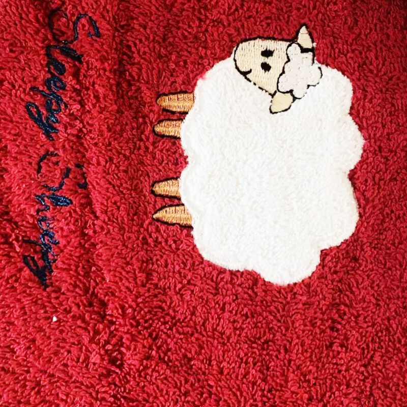Morgenstern Kinder Badeponcho aus 100 % Baumwolle Scharf