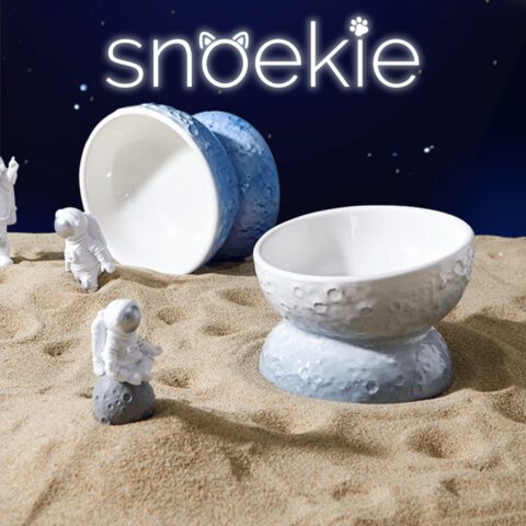 snoekie Keramik Katzennapf mit Standfuß – Erhöhter Futternapf & Wassernapf für Katzen, Rutschfest, Spülmaschinengeeignet, Modernes Design Hellblau