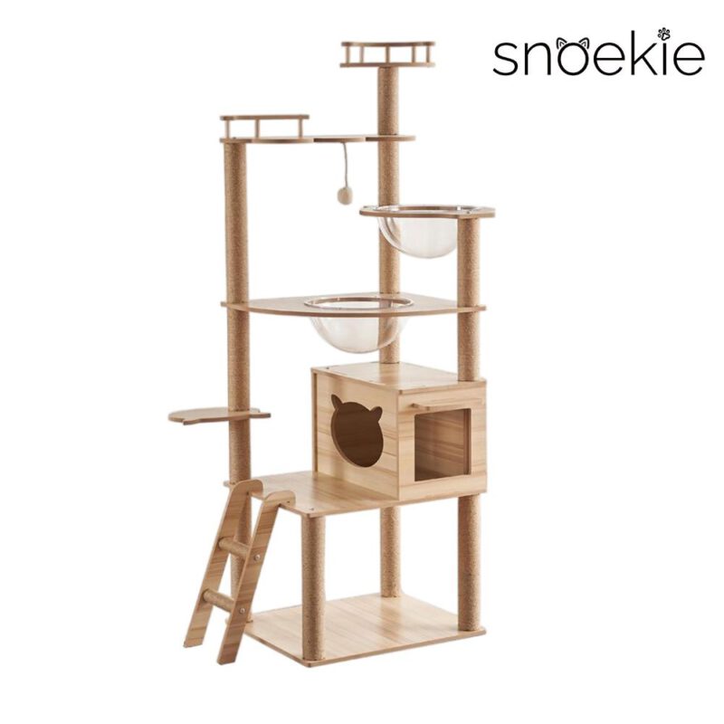 Snoekie Stabiler Kratzbaum mit Katzenhaus, Acryl-Körben und Kletterleiter