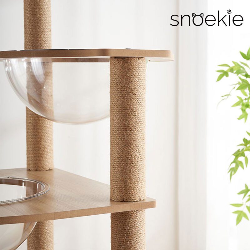 Snoekie Stabiler Kratzbaum mit Katzenhaus, Acryl-Körben und Kletterleiter