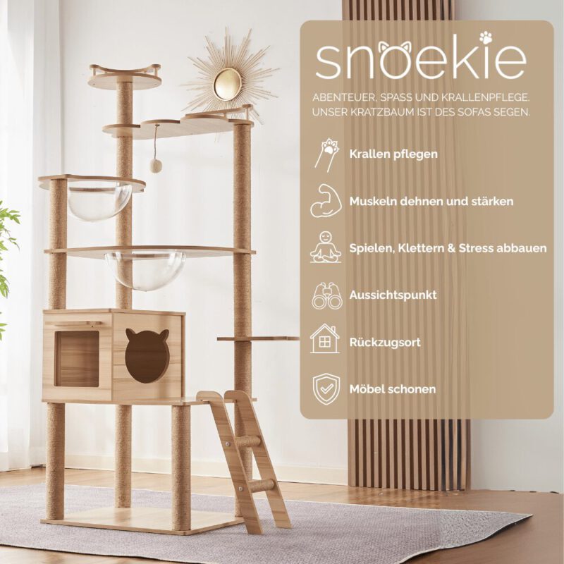 Snoekie Stabiler Kratzbaum mit Katzenhaus, Acryl-Körben und Kletterleiter
