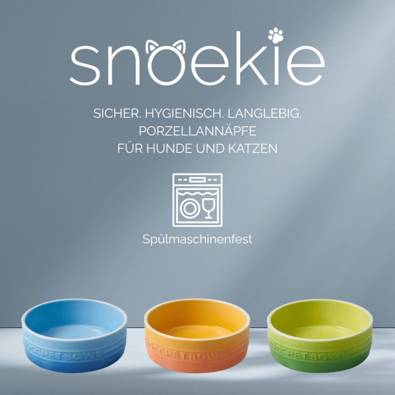 snoekie Porzellan-Haustiernapf – 13.8×13.8×5 cm, Hochtemperaturgebrannt, Spülmaschinenfest, Farbverlauf-Design