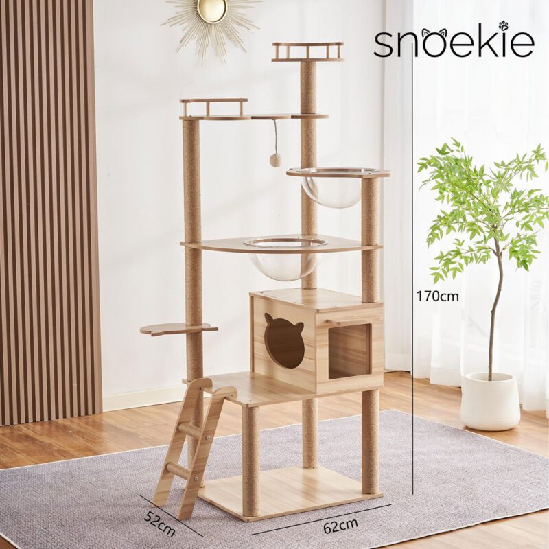 Snoekie Stabiler Kratzbaum mit Katzenhaus, Acryl-Körben und Kletterleiter