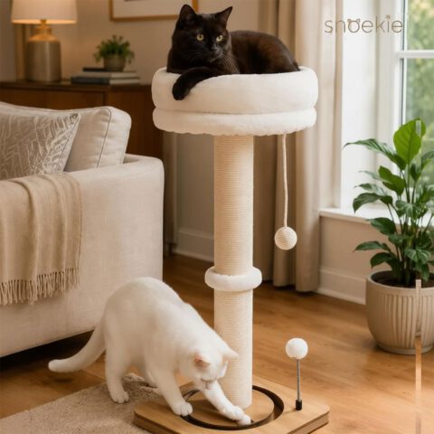 f2302d99-e9c9-4cc9-91b6-39d5bead231c_1280x1280.jpeg.format.jpg SNOEKIE Kratzbaum für Katzen, 78 cm hohe Kratzsäule aus Sisal mit abnehmbarem Katzenbett, MDF-Bodenplatte, Spielzeug, kompakt 33 x 33 cm, 5 kg